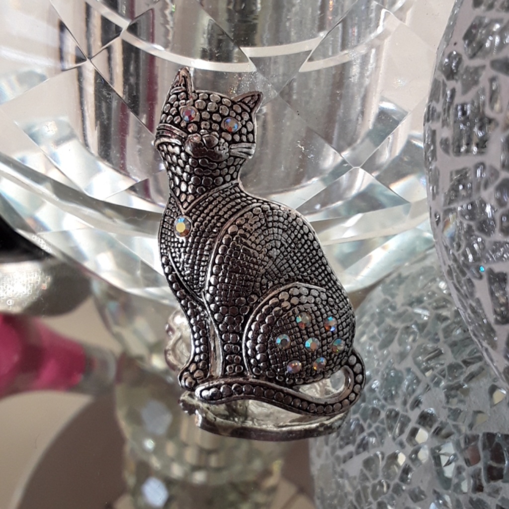 Gorgeous Brooch